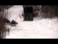 2013 New England Runner Sled Championship Race Day Video 2013 New England Runner Sled Championship Race Day Video