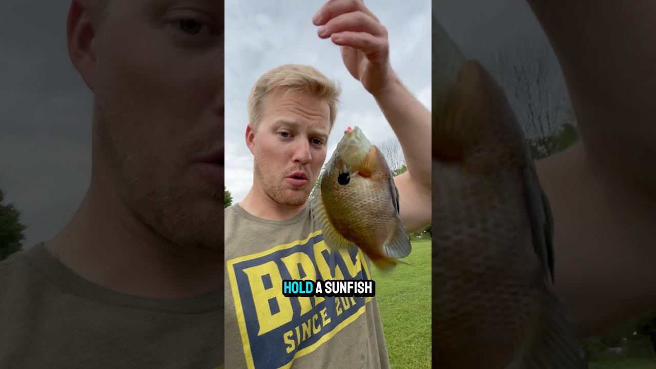 How To Hold A Bluegill!