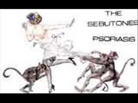 Sebutones - Multiple Organisms