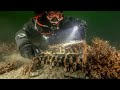 12 Most Amazing And Unexpected Underwater Finds