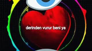 Ömrümü Adarim Yoluna