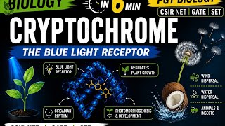 Cryptochrome Full Concept in 6 Min 🔥 | Plant Photoreceptor | CSIR NET & SET Biology