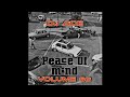 Peace of Mind Vol 66 | AMA 45 MIX | DJ Ace