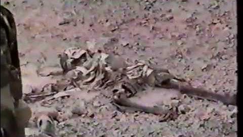 Save Ethiopia 1998 p5 (Damena Assefa) Aend Ethiopia