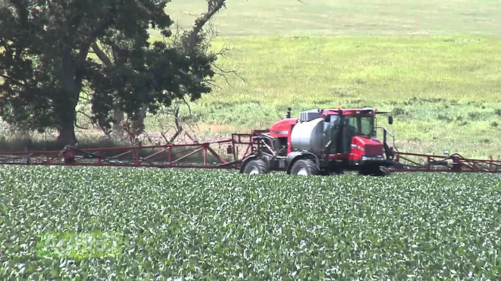 Weed of the Week #871 - Toothed Spurge (Air Date 12/14/14)