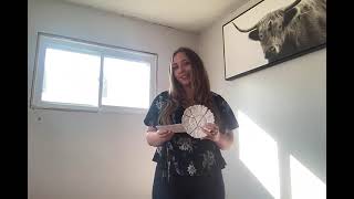 Artifact Speech Assignment: Video