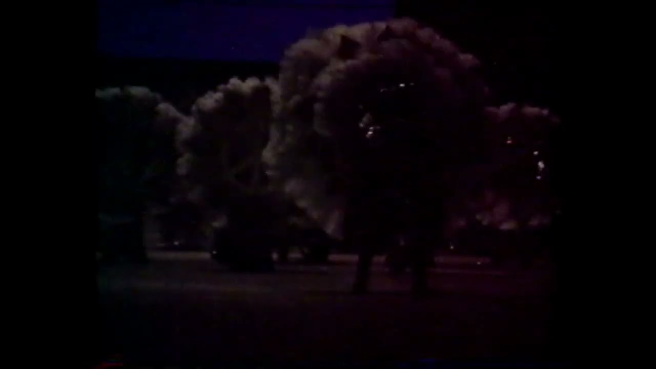 1996 Show of Shows - Trilby - Last Show at The Hall    jcv