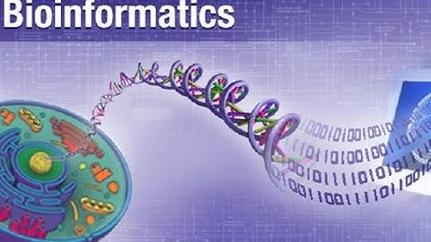 Bioinformatics