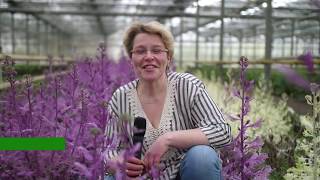 Klootwijk Agf Bedrijfsvideo