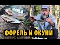 #17 Форель и окуни из Куксы | Неожиданная встреча | Видео с квадрокоптера