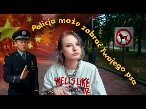 Co się dzieje z psami w Chinach?!