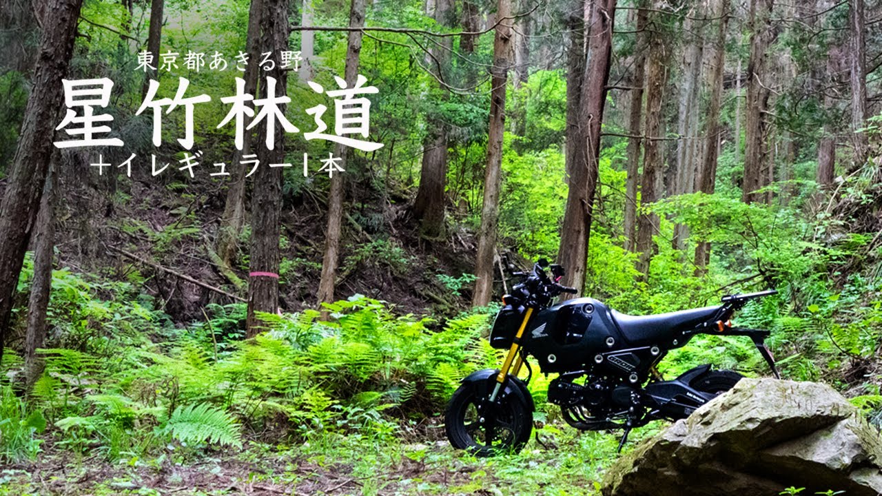 グロムjc92 星竹林道＋イレギュラー1本 #hondagrom #grom - YouTube