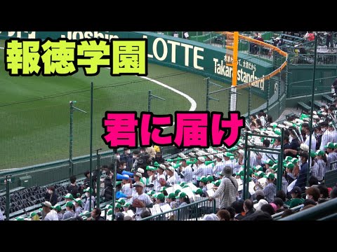 【スタンドもノリノリの報徳学園の応援📣君に届け】仙台育英対報徳学園