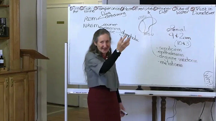 Why We Sleep - Barbara O'Neill