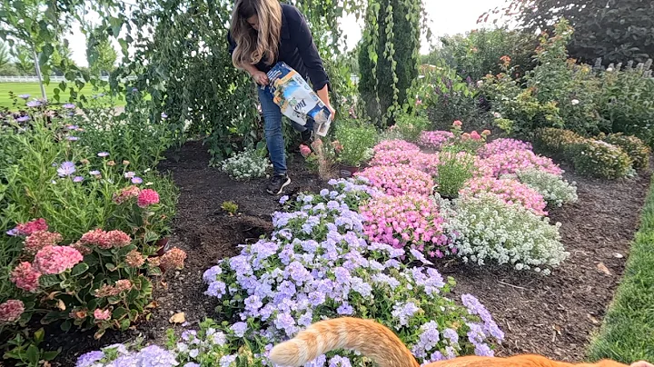 Perennial Haul Planting & Mid-Summer Flower Bed Maintenance! 🌿🙌☀️ // Garden Answer thumbnail