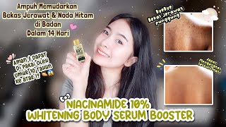 SERUM BADAN PENGHILANG BEKAS JERAWAT DIPUNGGUNG | Niacinamide 10% Whitening Body Serum Booster by Dvna Natalia 767 views 11 months ago 6 minutes, 57 seconds