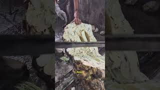 Porque compradores de borracha cortam o produto no meio?