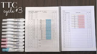 TTC BABY #2 - CYCLE #3 (Ovulation + Pregnancy tests)