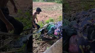 2023 06 01 12 18 IMG 9820