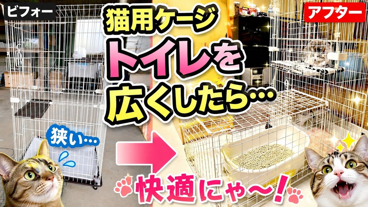 【猫が居る生活】 Life with a cat starts with breakfast/PAN DOROBOU Exhibition in