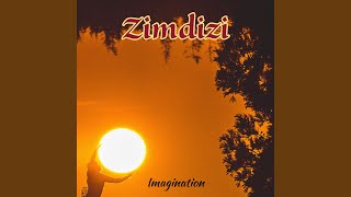 Imagination - Zimdizi