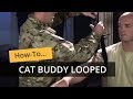 Cat buddy application looped