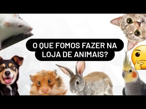 QUE BICHINHO VOCÊ ACHA QUE NÓS COMPRAMOS? 01, PARTE