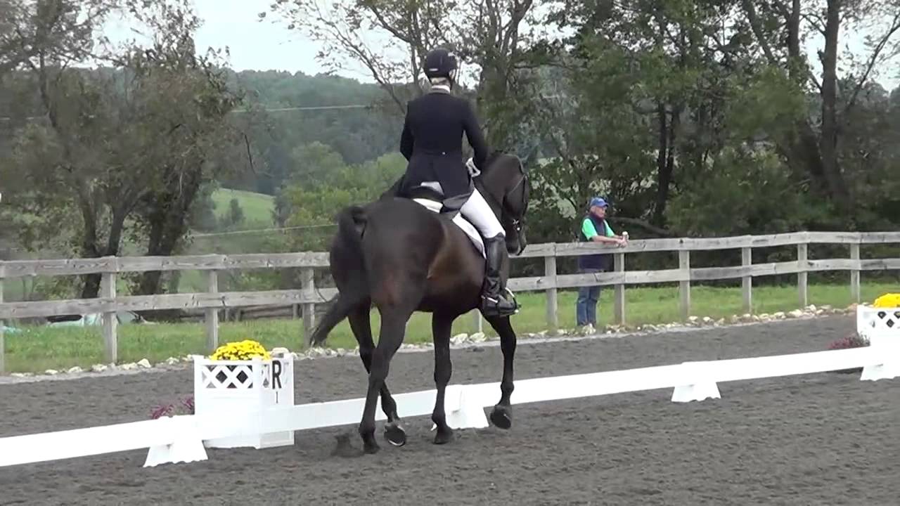 Sara Kozumplik Murphy & Catchascatchcan Plantation Fields CIC & HT ...