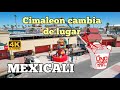 Reubicación del Cimaleon Mexicali