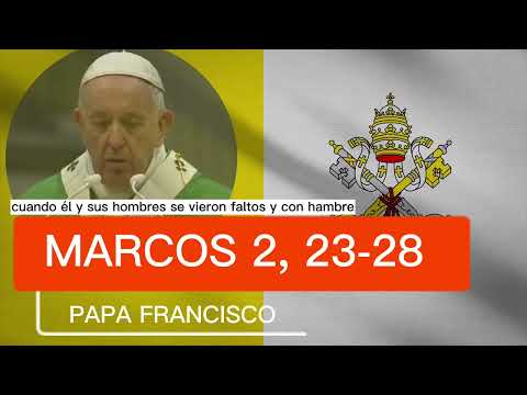 ▷ PAPA FRANCISCO reflexión del EVANGELIO del DÍA 17 de ENERO según San MARCOS, 2 23-28