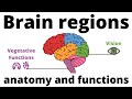 Overview of Brain regions (Anatomy &amp; Function)