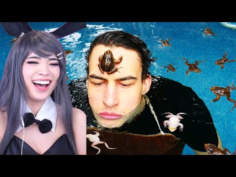 Emiru Reacts to "Frogs Keep Drowning Themselves In My Pool!" by I did a thing