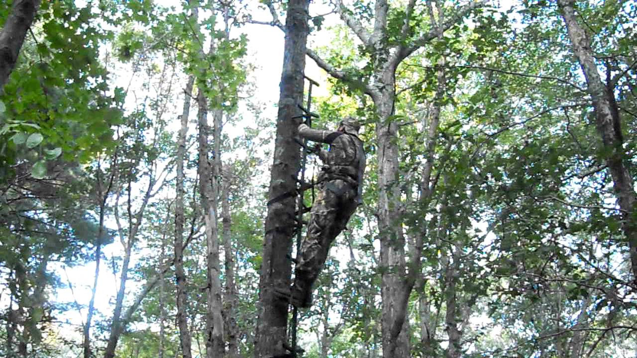Setting up a treestand 