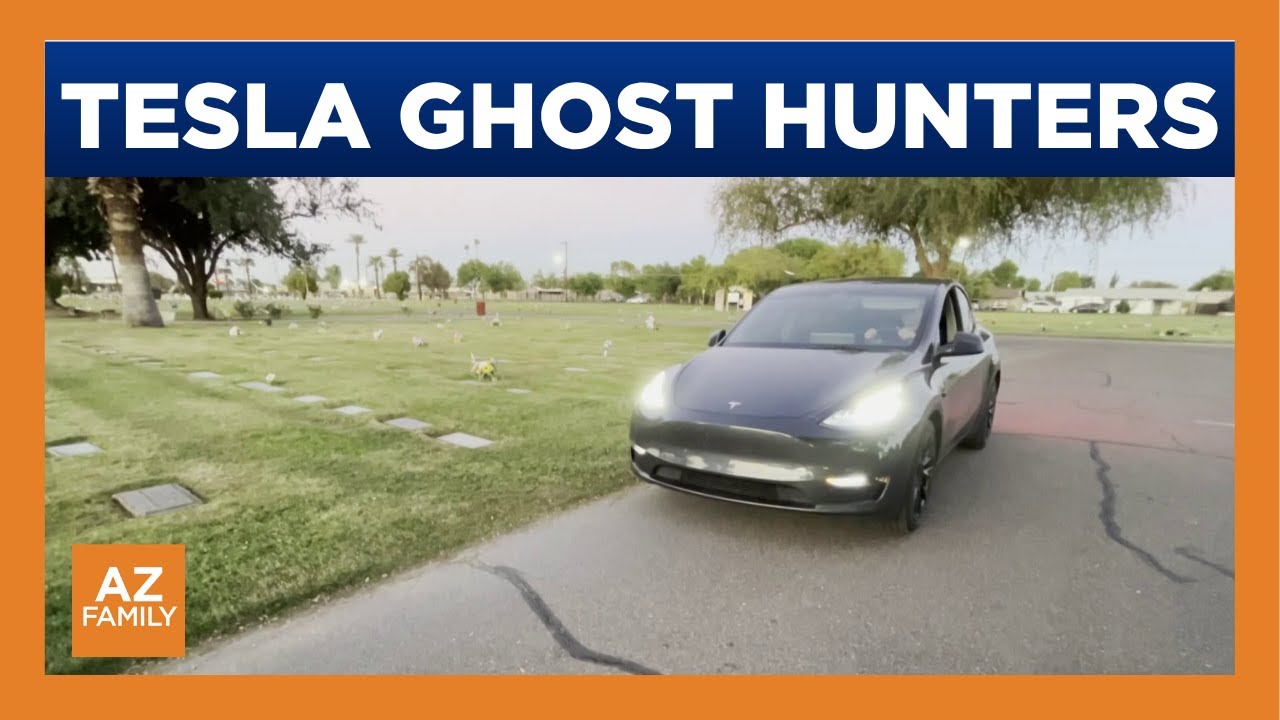 Tesla owners say camera's show people and animals that aren't there