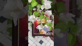 Creative Drawing Idea