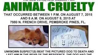 Unsolved Cases from Broward Crime Stoppers