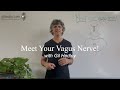 Meet your vagus nerve learn integral anatomy with gil hedley