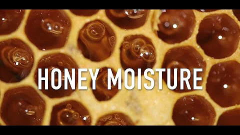 Honey Moisture