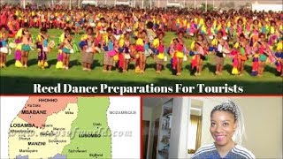 Swazi Reed Dance 2017 Tourist Information Swazi Youtuber In Sa 14 Aug 2017