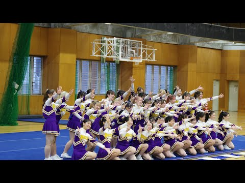 南山大 チアリーディング チア ユニフォーム アンダー アンスコ 【公式