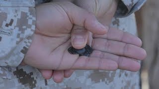 Información Marine Officer Candidates of Alpha Company earn the title of United States Marine Guía