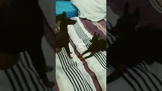 Download Lagu 18 October 2023 MP3