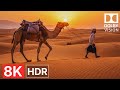 Nature Unfiltered: 4K/8K HDR Ultra HD Dolby Vision — Ultimate Color Power (4K/8K TV)