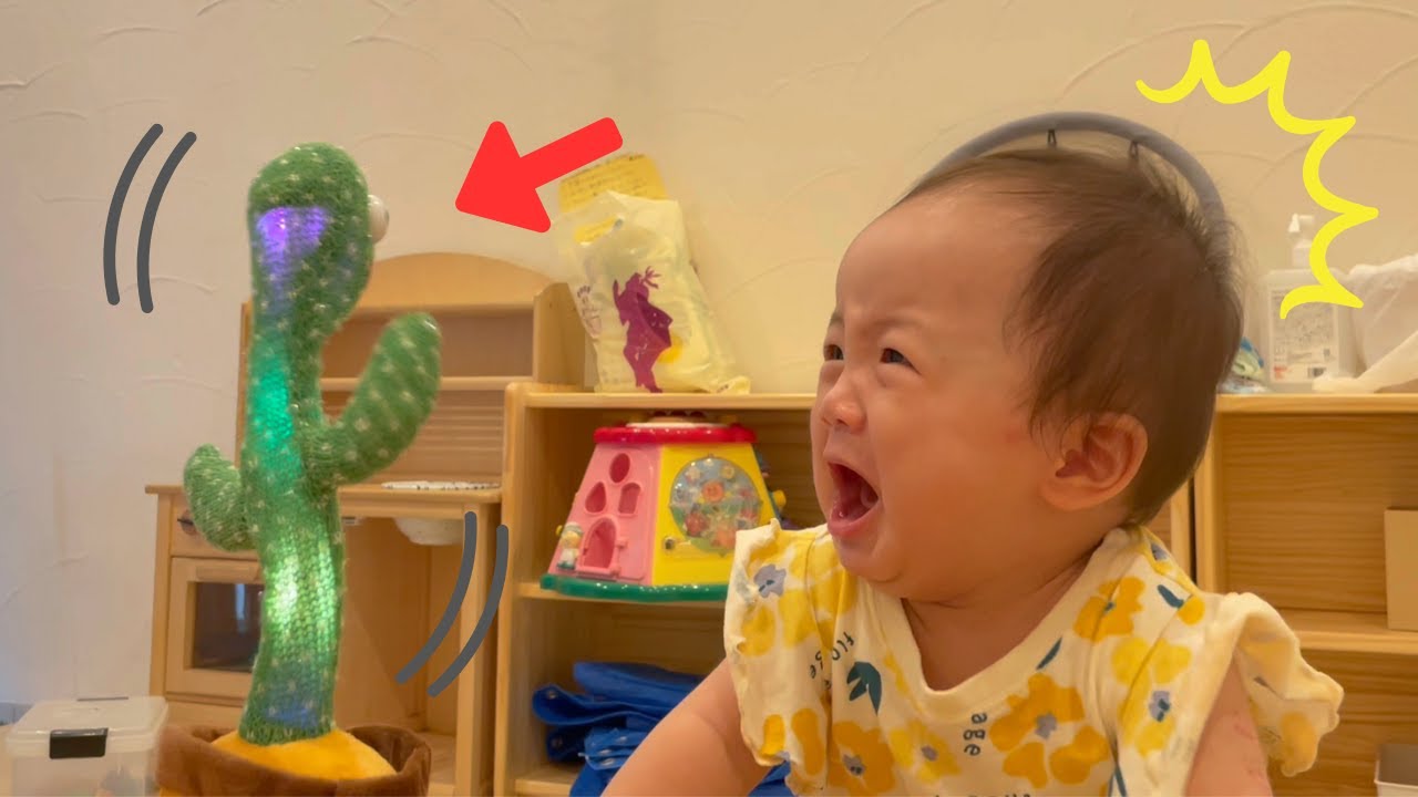 【保育園】動くなんて聞いてない！“踊るサボテン”に子どもたちの反応が可愛すぎた件🌵🕺（YouTube運営様に子供向け動画と判定された為、コメント欄が閉じられてしまいました。申し訳ありません。）