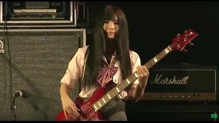 【ベース】 カメレオンラブ 演奏してみた@超会議LIVE ver.【おつぽん】