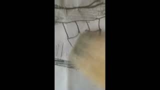 Sallanan Kız Karakalem Çizimi