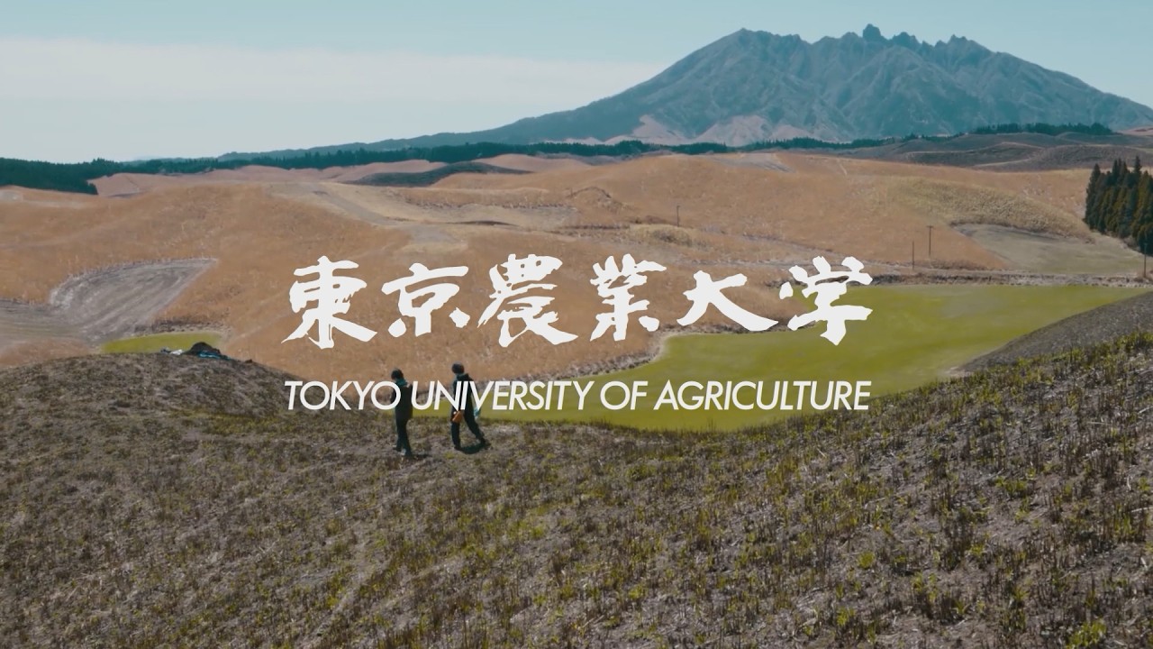PR】#shorts 東京農業大学 紹介（15sec. ver） - YouTube