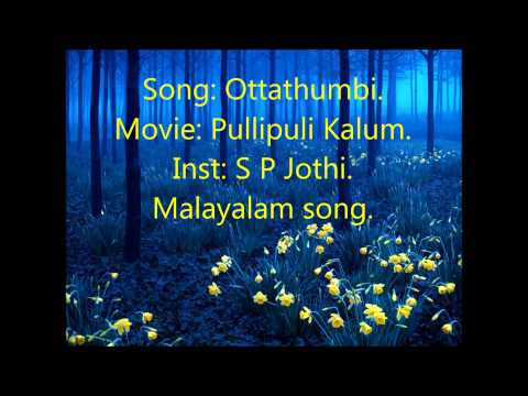 pullipulikalum aattinkuttiyum kalum song