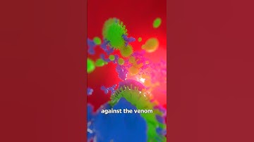 How They Make Anti-Venom 🤔
