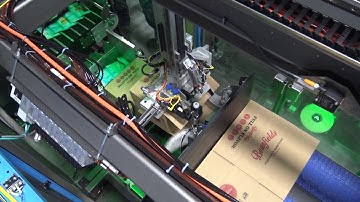 61653 BluePrint Automation (BPA) Spider 200i Case Packer